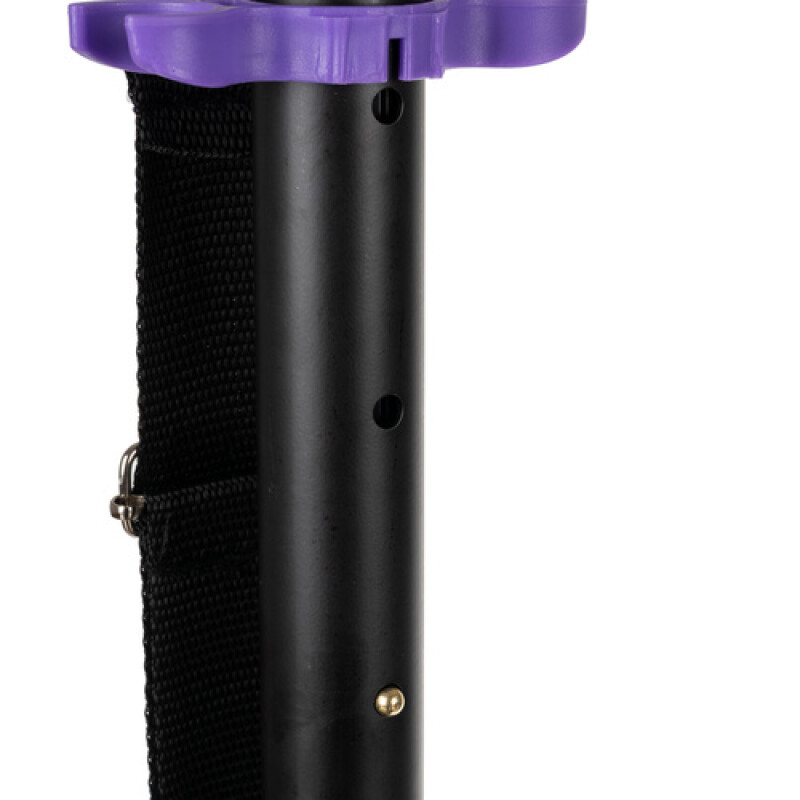 Scooter purple