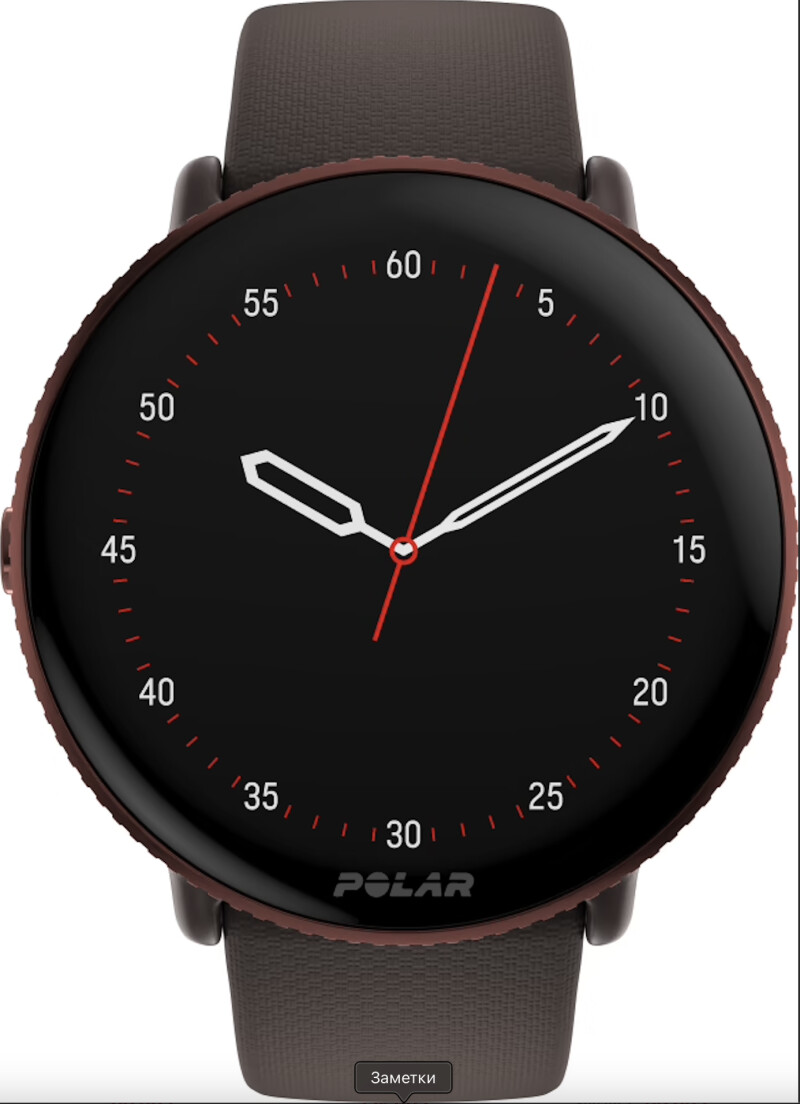 Sportinius laikrodžius POLAR IGNITE 3 BROWN COPPER, S-L