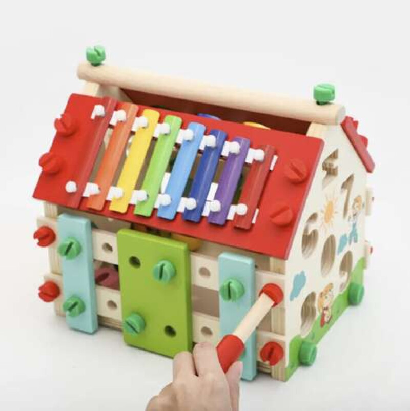 Montessori manipuliacinio aktyvumo namai