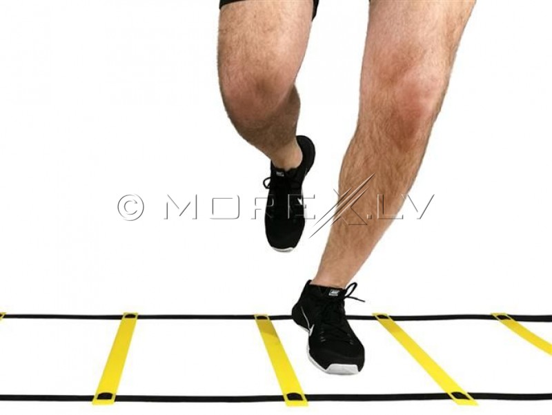 Coordination Training Speed Ladder 6m (00005067)