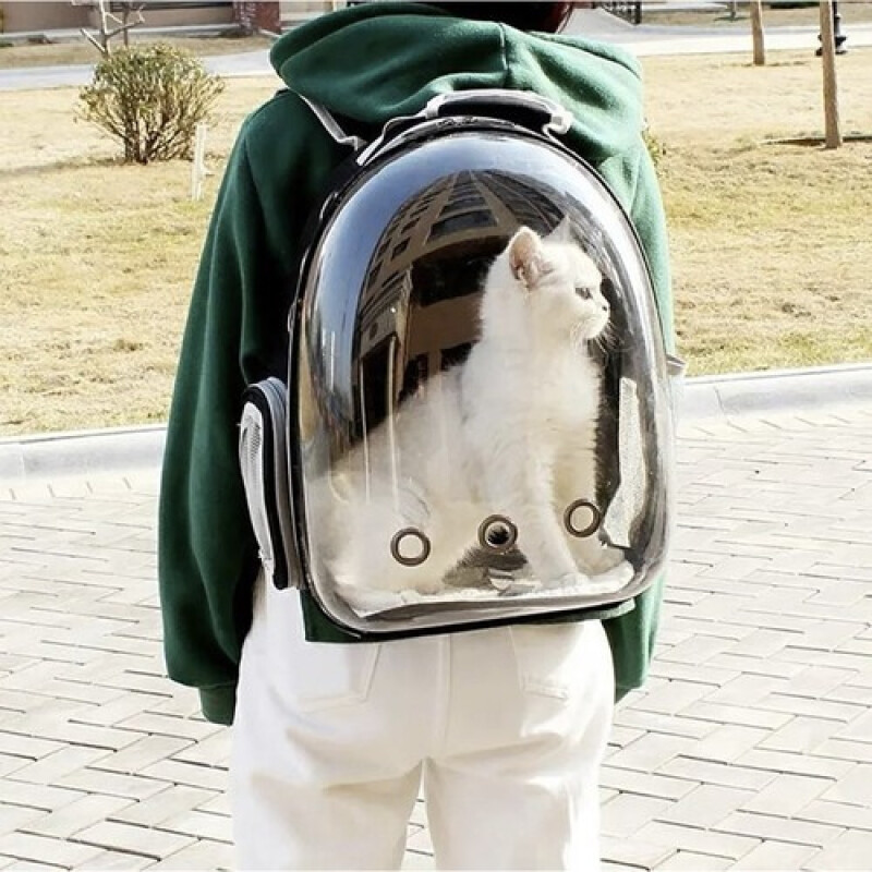 Transporter backpack for dogs and cats