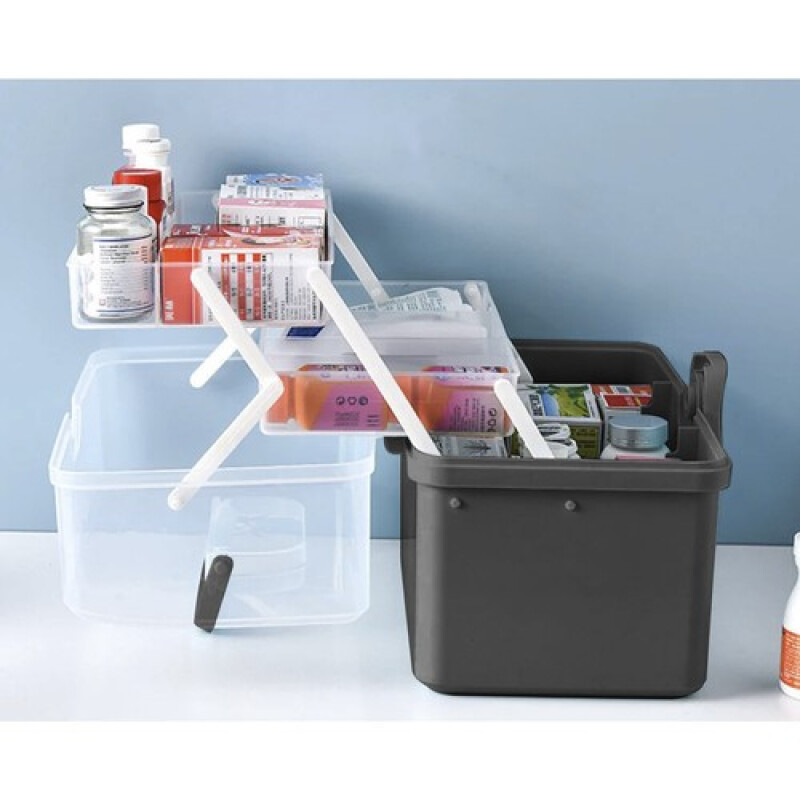 Portable medicine organizer
