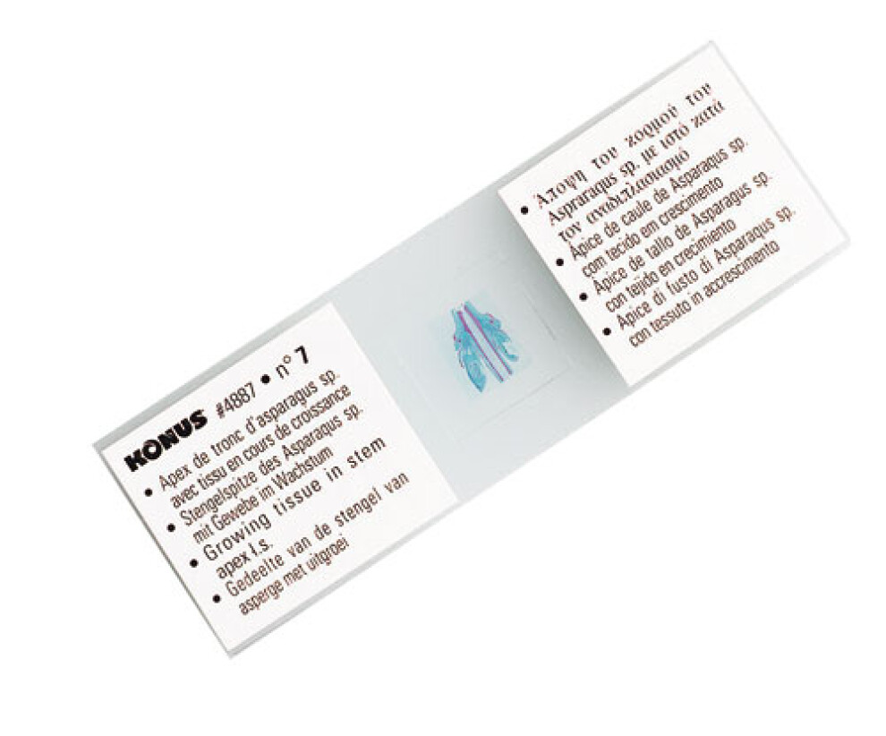 Konus Preparation Set Human Body (25 Pcs)