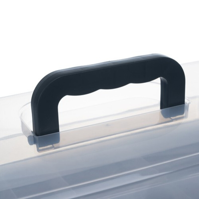 Portable medicine organizer