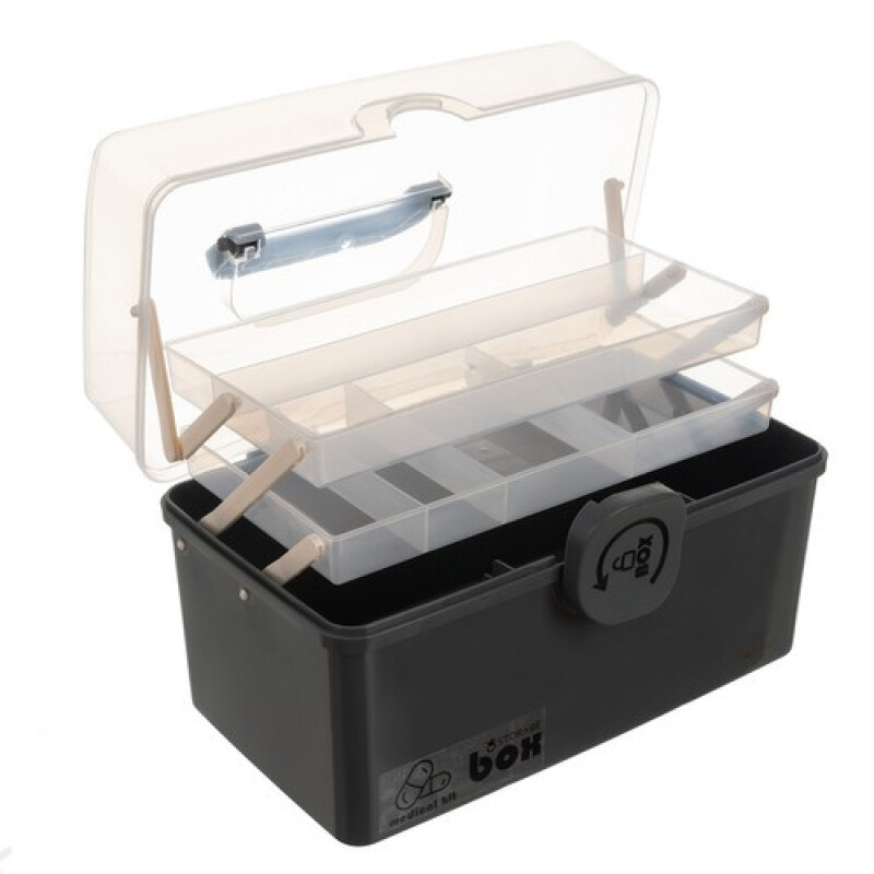 Portable medicine organizer