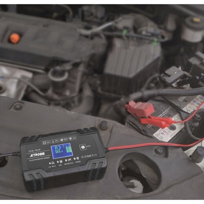 Marine Dual Purpose Battery 110Ah + XTROBB įkroviklis 8A/4A