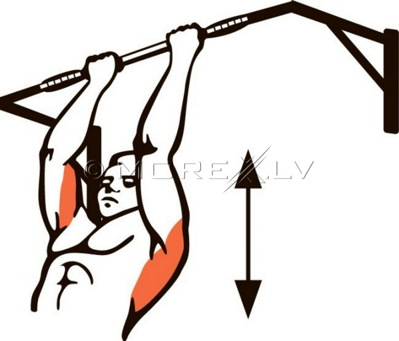 Wall Pull up Bar Classic-1 (01182-BLACK)