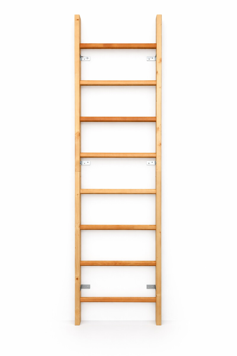 Medinė švediška sienelė RESTPRO® WOOD 230x65 cm
